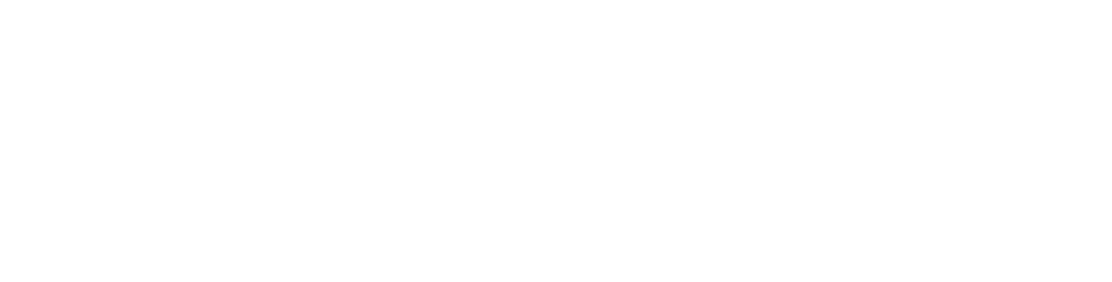 Palit